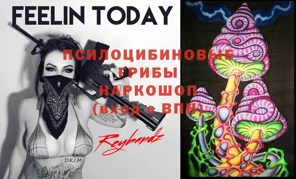 дурь Беломорск