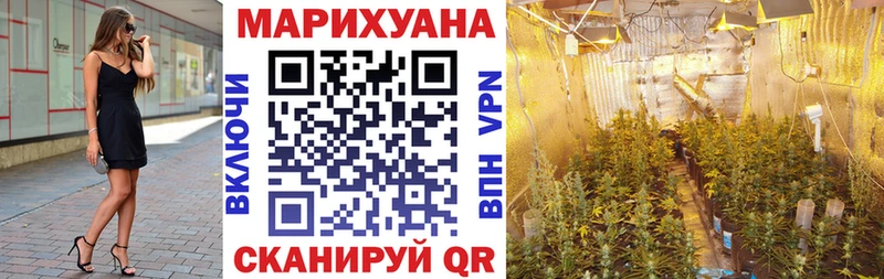 МАРИХУАНА конопля  MEGA сайт  Волгореченск  где найти  